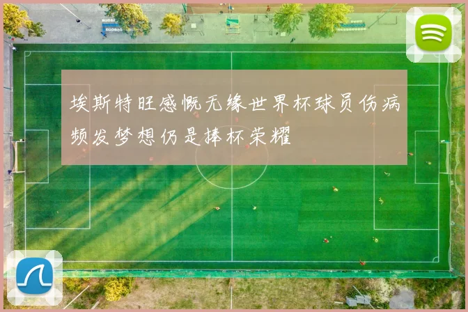 埃斯特旺感慨无缘世界杯球员伤病频发梦想仍是捧杯荣耀