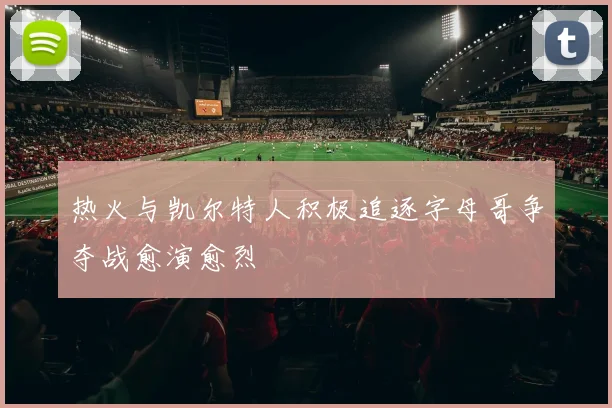 热火与凯尔特人积极追逐字母哥争夺战愈演愈烈